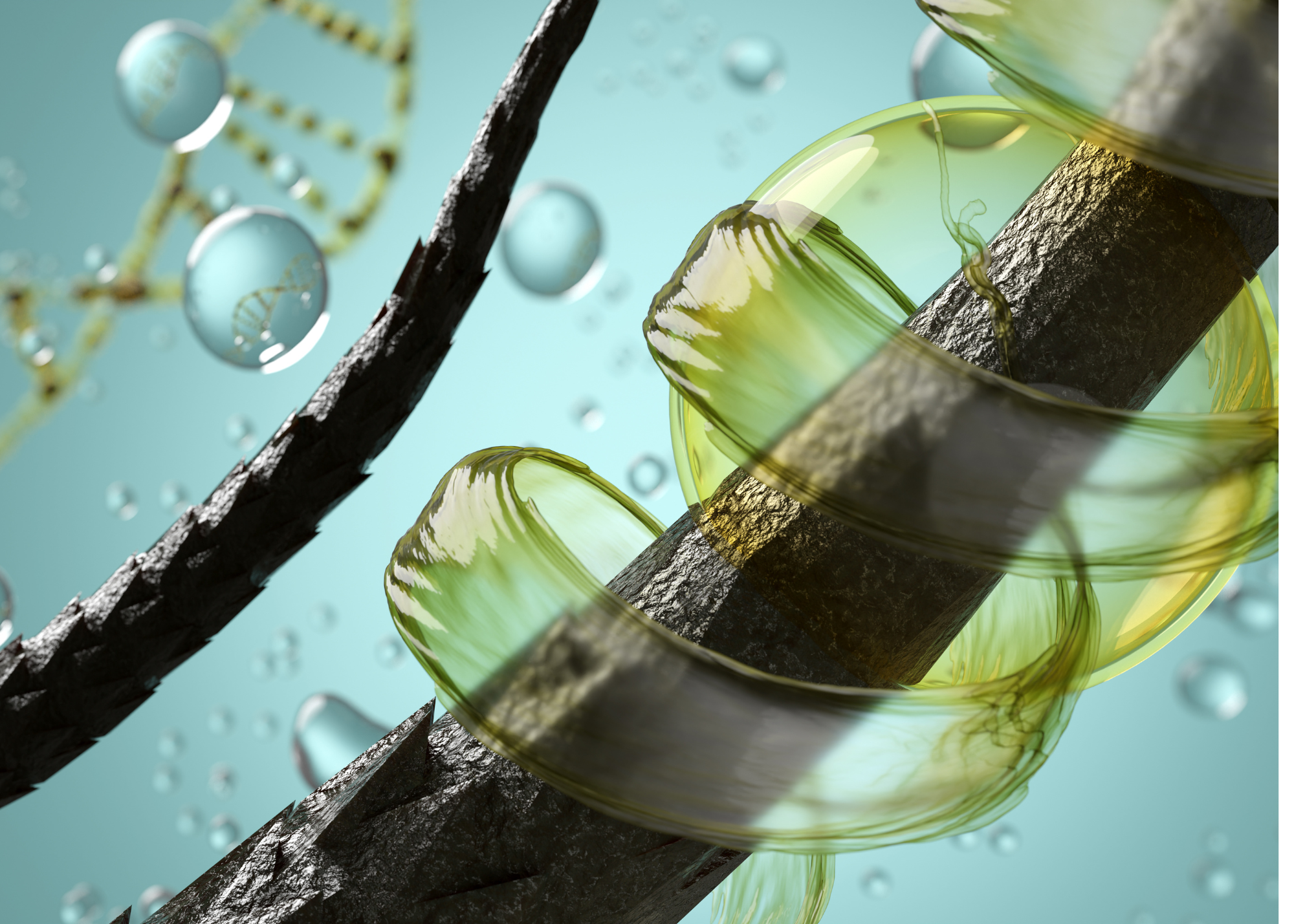 Do Not Let your hair thinning, loss, and graying be continued!
