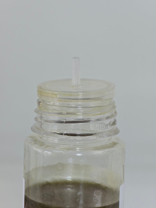 Fermented Rice + Ginseng Hair & Scalp Serum 1 fl oz, 4fl oz
