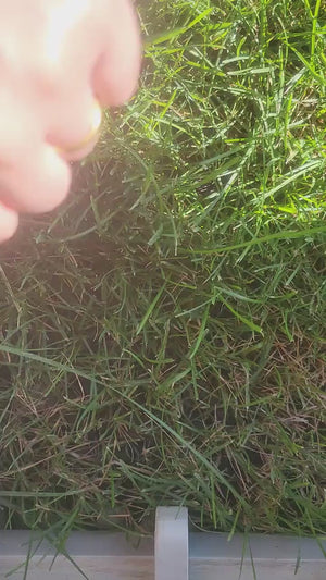 Powerful Water Serum  PHA+AHA Hyaluronic acid +Niacinamide for Brightening, Acne, Scar healing